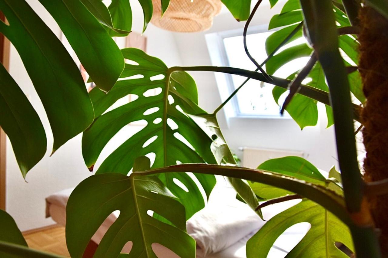 Greenbnbs: Cozy Urban Jungle In The City Centre エッセン エクステリア 写真