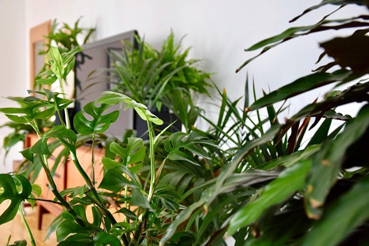 Greenbnbs: Cozy Urban Jungle In The City Centre エッセン エクステリア 写真