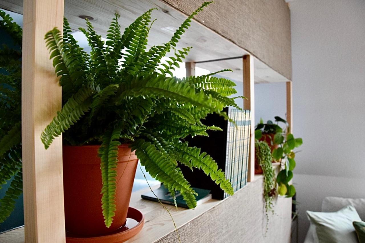 Greenbnbs: Cozy Urban Jungle In The City Centre エッセン エクステリア 写真